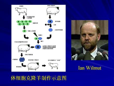 基因重组技术的进展