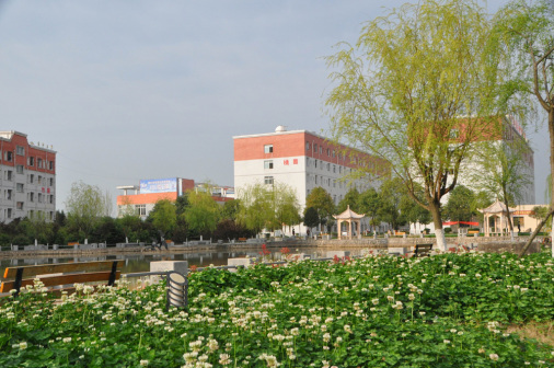 学生宿舍.桃园