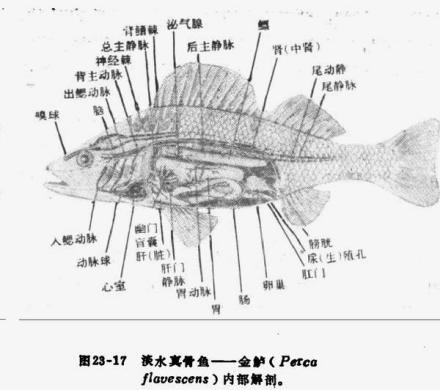 金炉内部解剖图