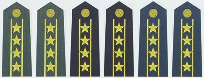 陆海空军大校常服肩章(2007—)