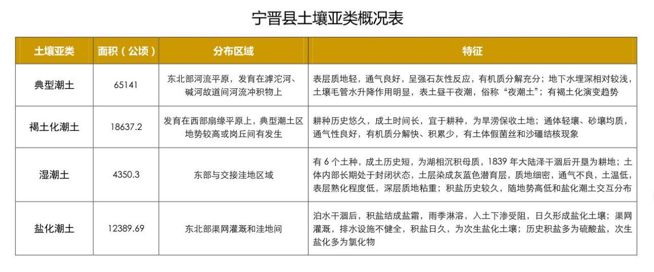 宁晋县土壤亚类概况表