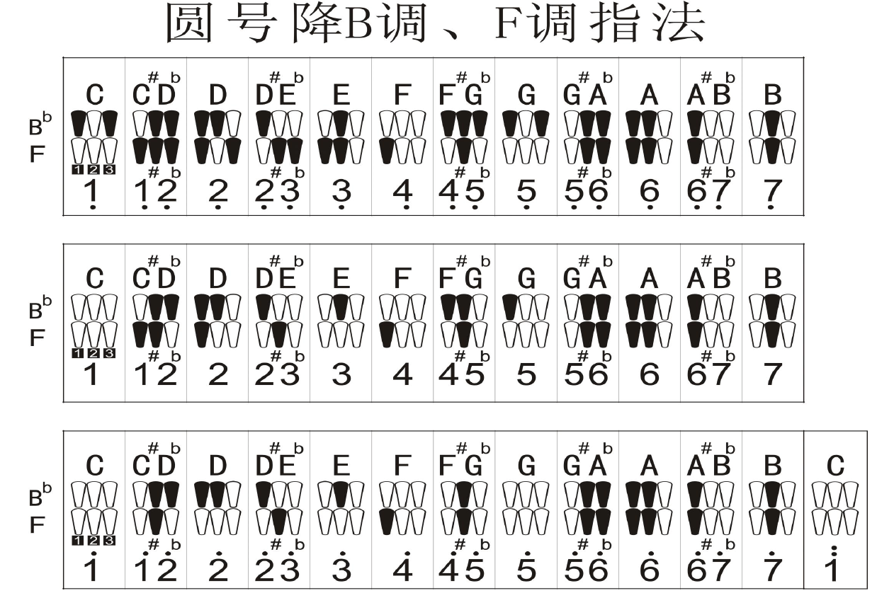 圆号指法