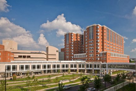 肯塔基大学