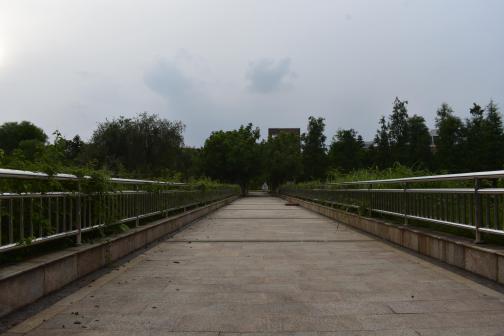 中山大学（东校区）
