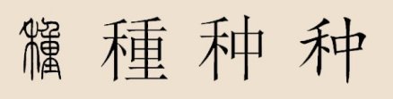 种姓