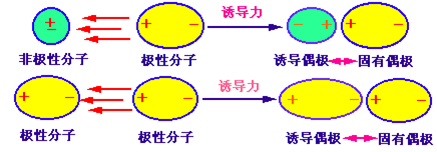 诱导力
