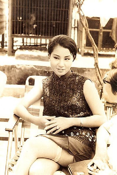 杨丽花