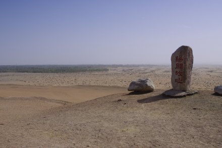 沙漠森林公园