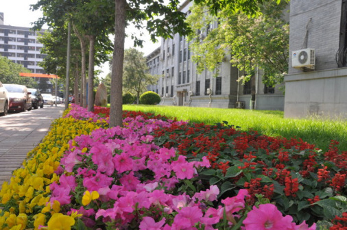 北京师范大学