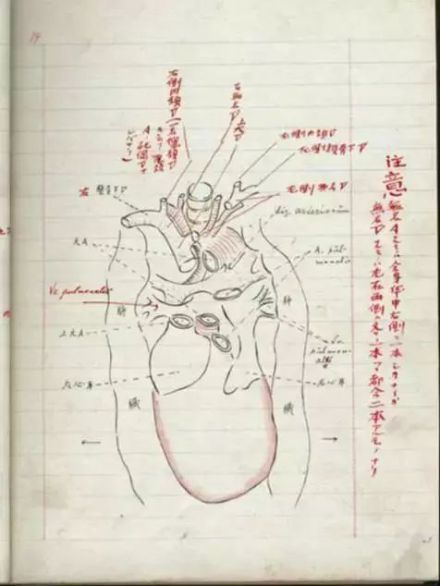 藤野红笔批改清晰可见 