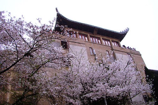 武大美景