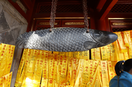 潭柘寺石鱼