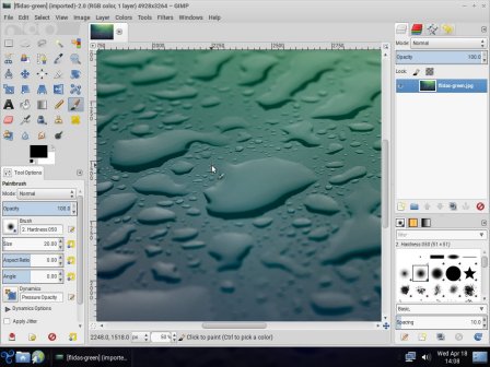 Trisquel 8.0 上的 GIMP