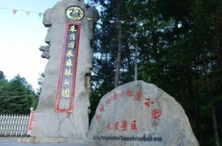 朱雀国家森林公园