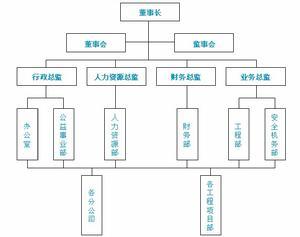 组织结构