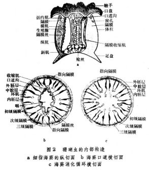 图2&amp;amp