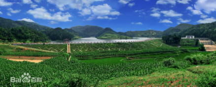 中以生态农业基地