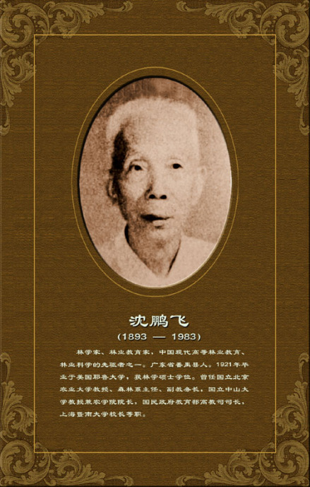 沈鹏飞