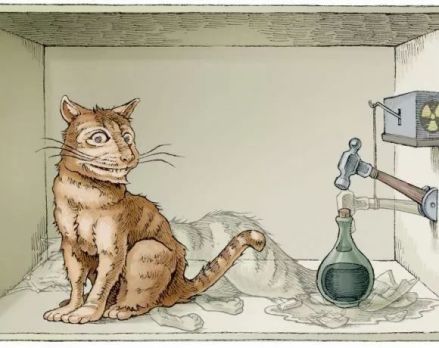 薛定谔的猫