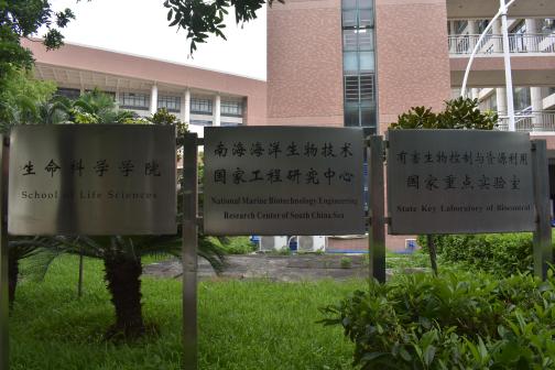 中山大学（东校区）