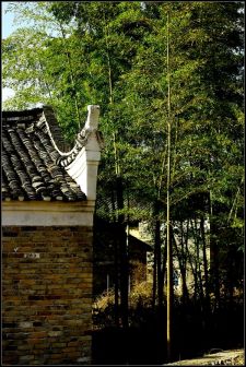 龙家大院