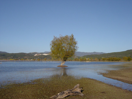 地表水湿地