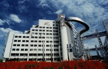 金山科技园区内建筑