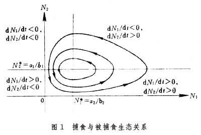 生物数学