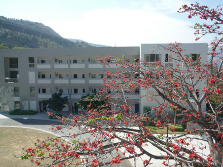 总发乡中心学校 