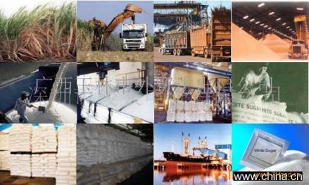 巴西的食糖生产链