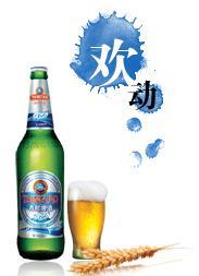 青岛啤酒