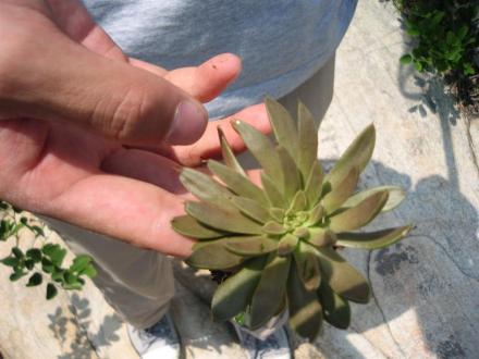 生物资源调查