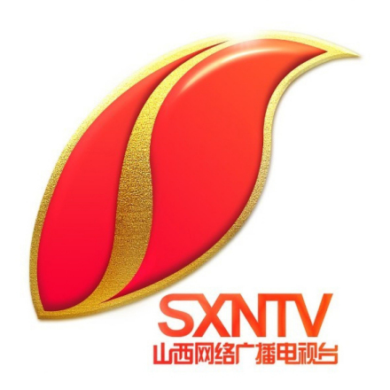 山西网络广播电视台