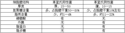 细菌内毒素