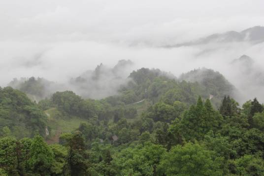 蒙顶山