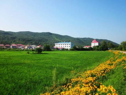拉林满族镇田地