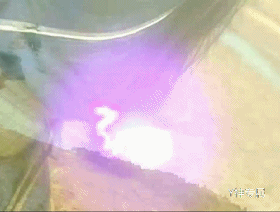 见龙在田