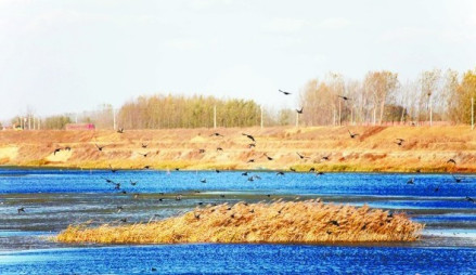 小沽河