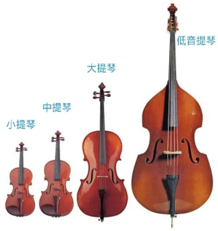 小提琴