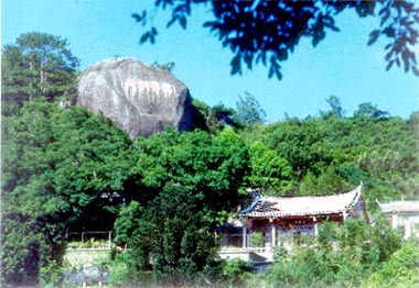 松杉园