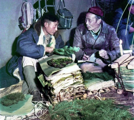 1956年，秦仁昌（右）在新疆考察期间
