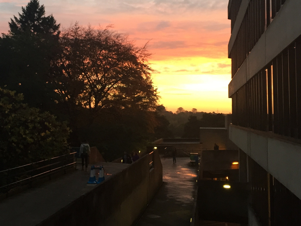 东安格利亚大学