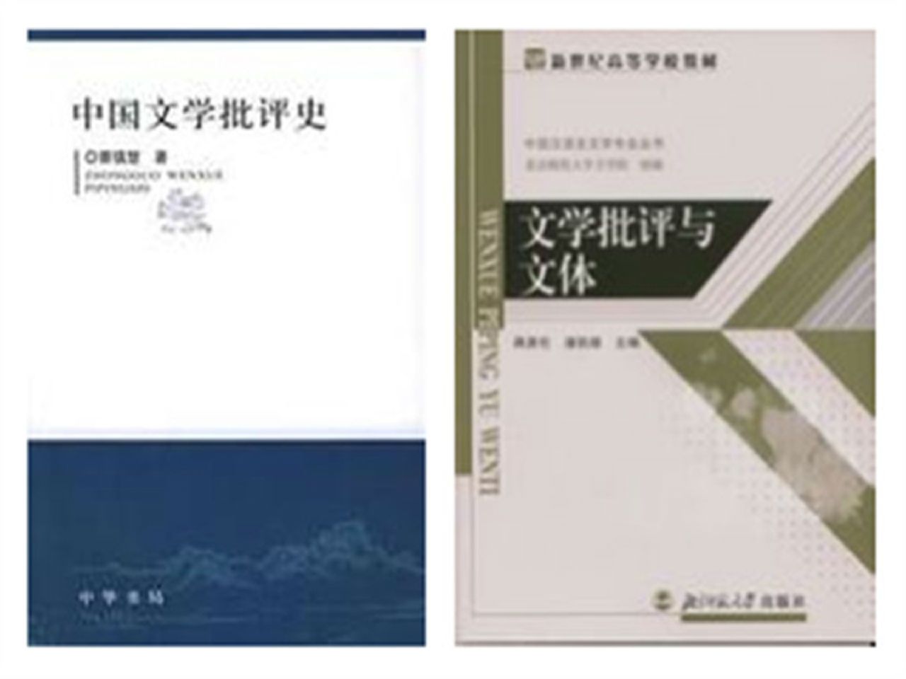 文学批评