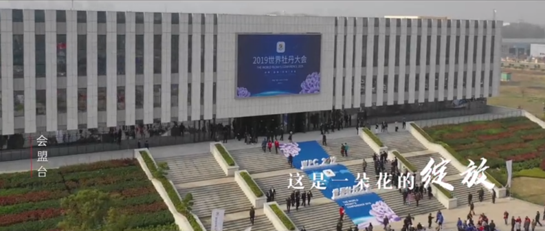 菏泽市风光