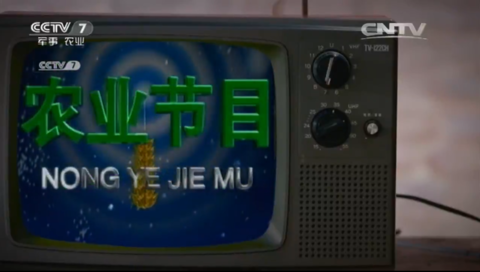 1994.3.1-2003.12.28的农版本
