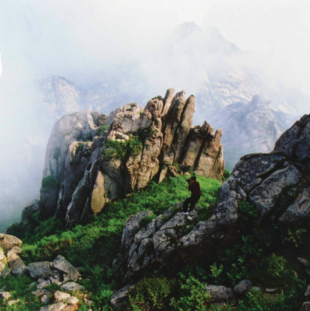黄岛区