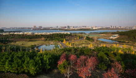 藏龙岛湿地公园