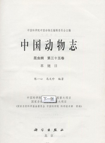 相关书籍
