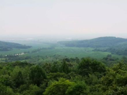 风景