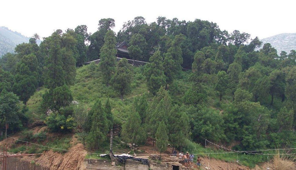 尼山森林景观